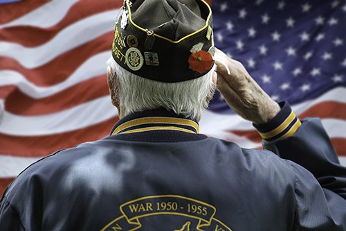 Preparing Your Senior Loved One for Memorial Day - Canton, GA